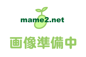 �y���T�� ��z#2 ���ɔ� UU-0 White�i�����B�悭������j��Ԑl�C