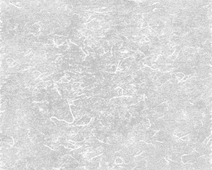 �y�_�����^�ؓ���z���� �� R-0 White