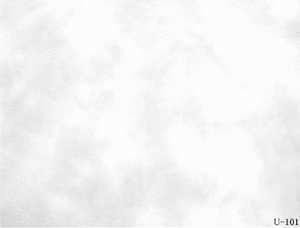 �T�� ���ɔ��� �ނ����