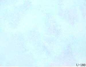 �T�� ���ɔ��� �ނ����