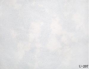�T�� ���ɔ��� �ނ����